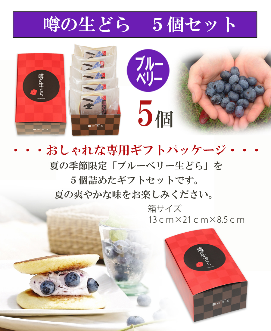 ブルーベリー5内容P