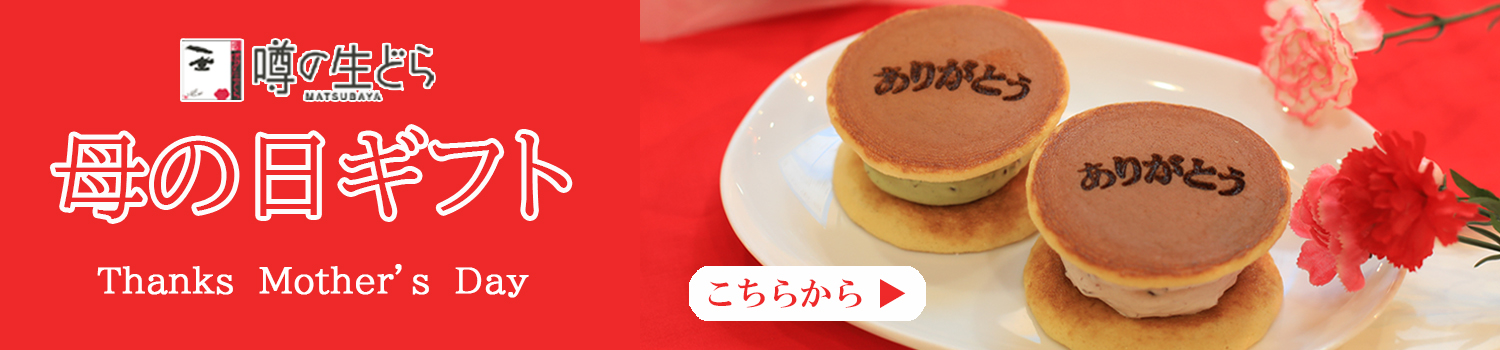 母の日-バナー長