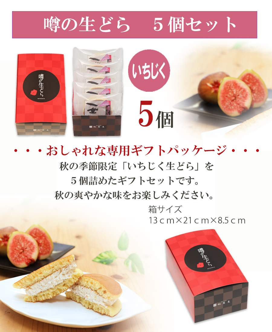 いちじく5内容P